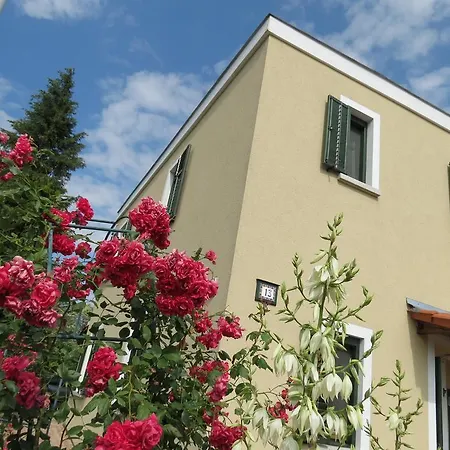 蒂蒂家庭公寓 *