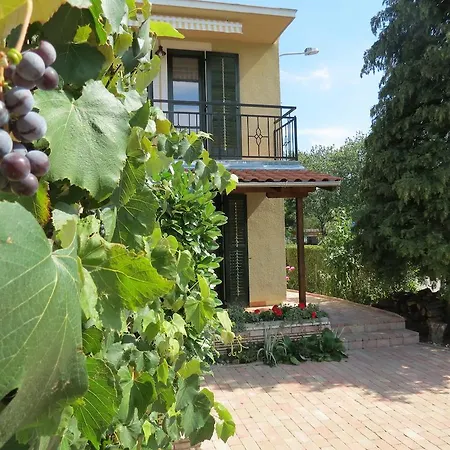 Tatil Evi Titi Family *