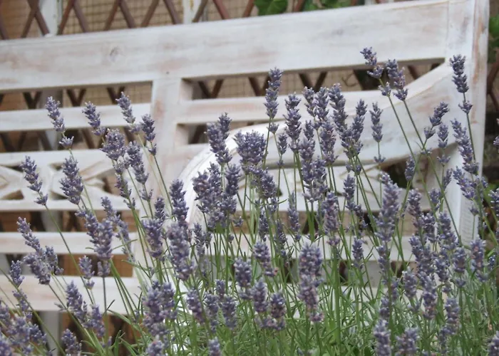 Holiday home Titi Family Buk